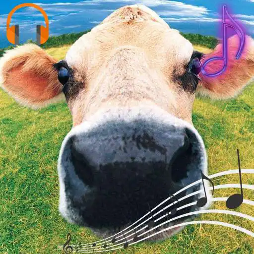Play Funny Sounds And Ringtones APK
