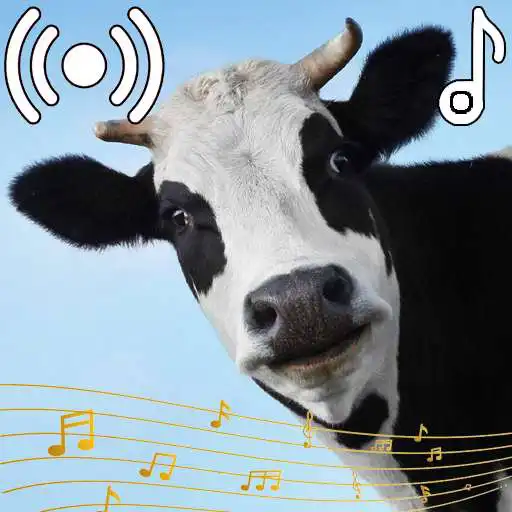 Play Funny Sounds Ringtone APK Play Funny Sounds Ringtone APK