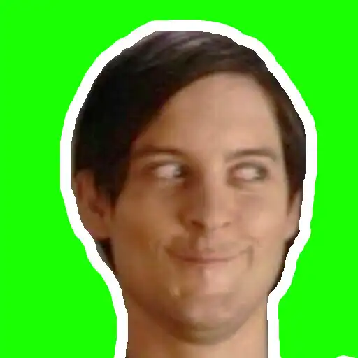 Play Funny Stickers with WastickersApp memes APK