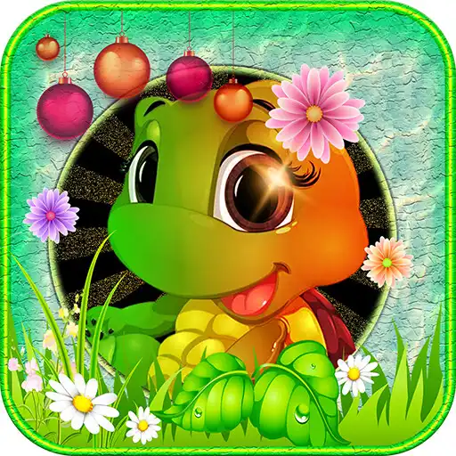Play Funny Turtle Escape APK Play Funny Turtle Escape APK
