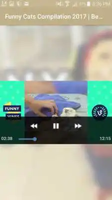 Play Funny Videos 2017