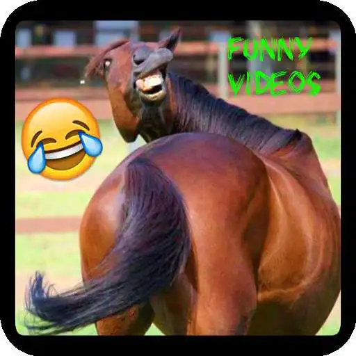 Play Funny Videos 2019 humor content APK Play Funny Videos 2019 humor content APK