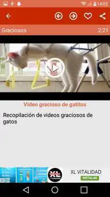 Play Funny videos for share