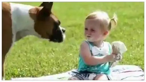 Play Funny videos, heavy jokes  and enjoy Funny videos, heavy jokes with UptoPlay