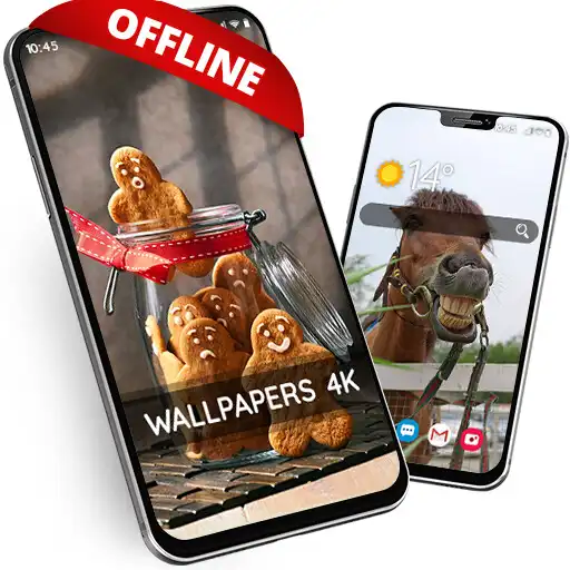 Play Funny wallpaper offline APK Play Funny wallpaper offline APK