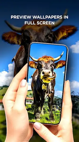 Play Funny wallpaper offline as an online game Funny wallpaper offline with UptoPlay