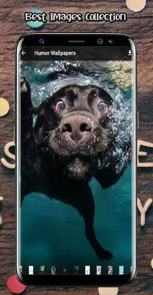 Play Funny Wallpapers Memes as an online game online Funny Wallpapers Memes with UptoPlay Play Funny Wallpapers Memes as an online game Funny Wallpapers Memes with UptoPlay