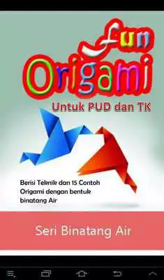 Play Fun Origami 1