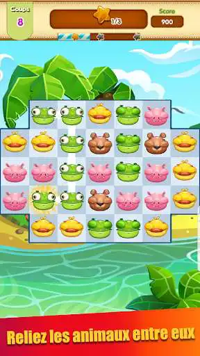 Play Fun Pet Party  and enjoy Fun Pet Party with UptoPlay