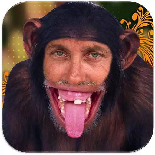 Free play online Fun Photo Camera APK