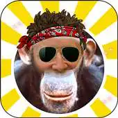 Free play online Fun Photo Montages APK