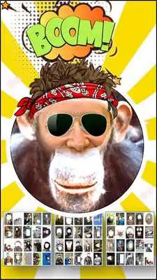 Play Fun Photo Montages