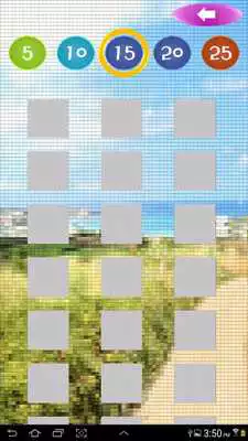 Play Fun Picross 100 II