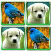 Free play online Fun With Animals APK Free play online Fun With Animals APK