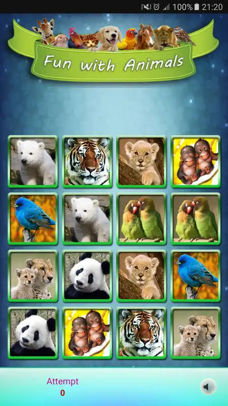 Play Fun With Animals