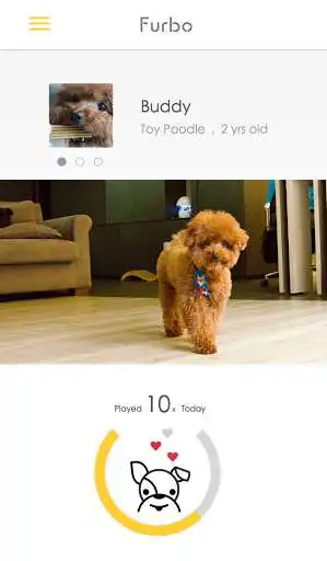 Play Furbo-Treat Tossing Dog Camera as an online game Furbo-Treat Tossing Dog Camera with UptoPlay