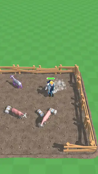 Play Fur Company 3D as an online game Fur Company 3D with UptoPlay