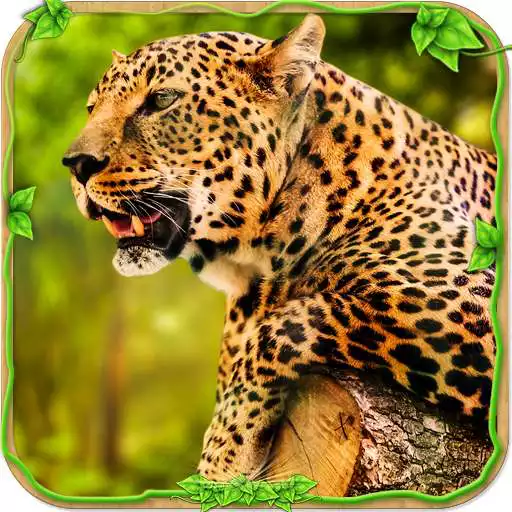 Free play online Furious Big Cats Simulator  APK