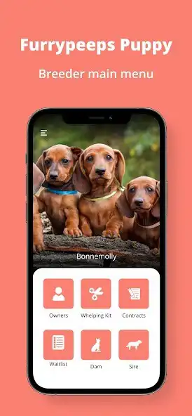 Play Furrypeeps Puppy as an online game Furrypeeps Puppy with UptoPlay