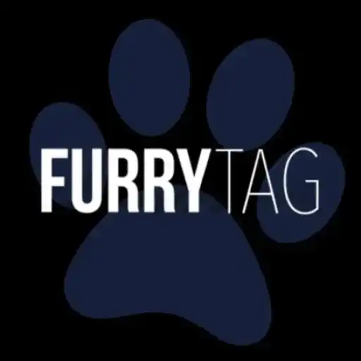 Play Furry Tag APK
