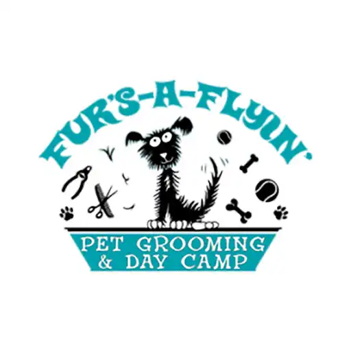 Play Furs A Flyin APK