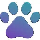 Free play online Fursquare APK Free play online Fursquare APK