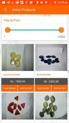 Play Future Study Online Play Future Study Online