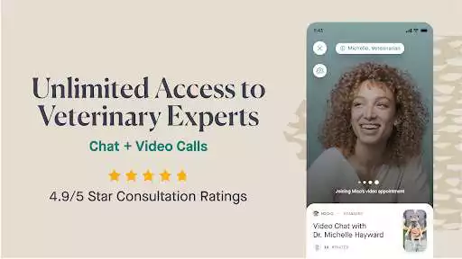 Play Fuzzy: 24/7 Online Vet Care as an online game Fuzzy: 24/7 Online Vet Care with UptoPlay