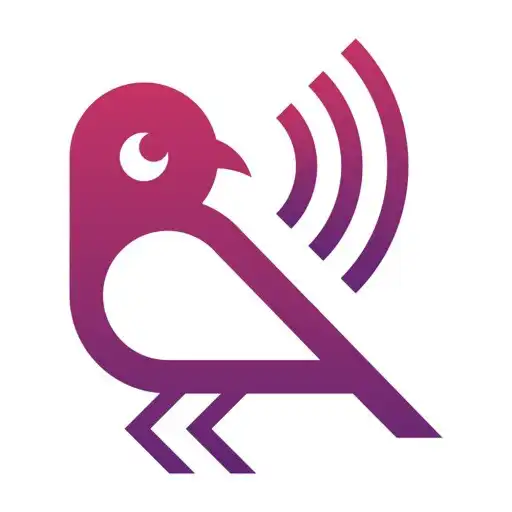 Play Fynch_ APK Play Fynch_ APK