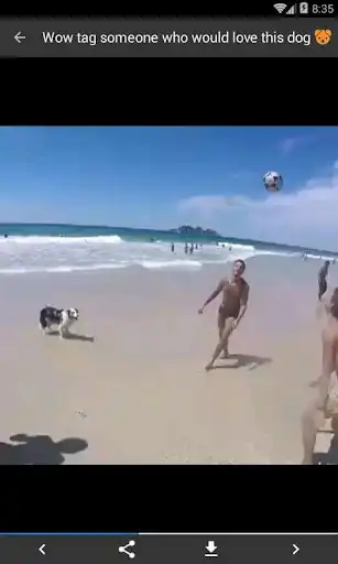 Play GaaGy Videos as an online game online GaaGy Videos with UptoPlay com.gaagy.videos Play GaaGy Videos as an online game GaaGy Videos with UptoPlay