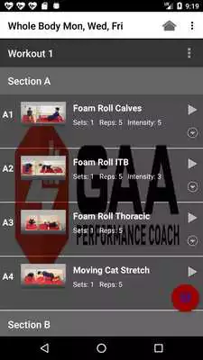 Play GAA Performance Coach Play GAA Performance Coach