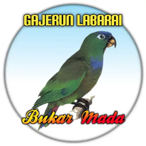 Play Gajerun Labarai APK Play Gajerun Labarai APK