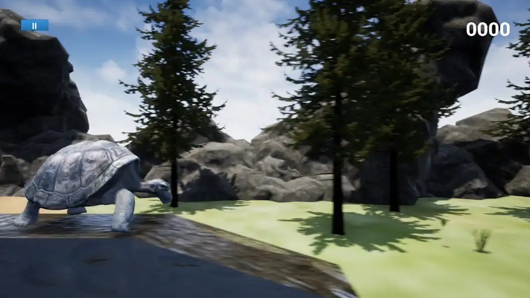 Play Galapagos Turtle Simulator as an online game Galapagos Turtle Simulator with UptoPlay