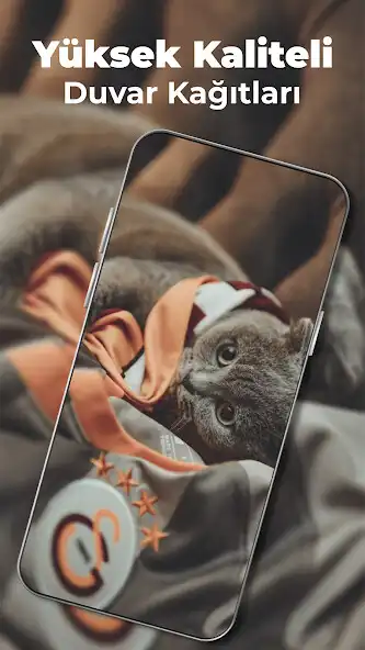 Play Galatasaray Wallpaper 2023 as an online game Galatasaray Wallpaper 2023 with UptoPlay