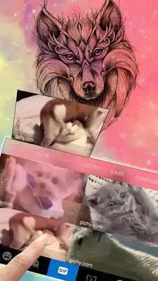 Play Galaxy Drawing Wolf