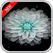 Free play online Galaxy Flowers Live Wallpapers APK Free play online Galaxy Flowers Live Wallpapers APK
