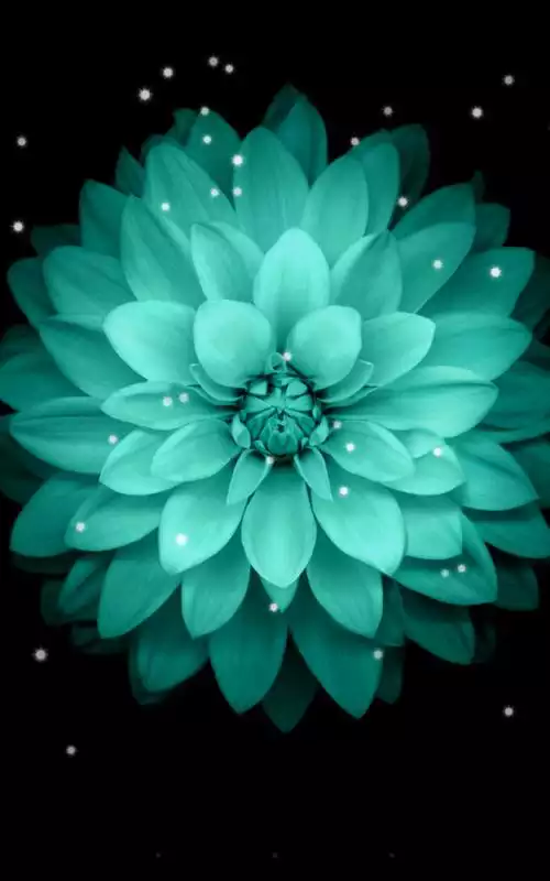 Play Galaxy Flowers Live Wallpapers