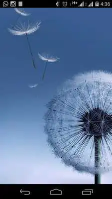Play Galaxy S3 Tips  Tricks