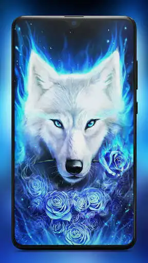 Play Galaxy Wolf Wallpaper 4K HD Backgrounds  and enjoy Galaxy Wolf Wallpaper 4K HD Backgrounds with UptoPlay
