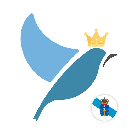Play Galician Language Tests APK