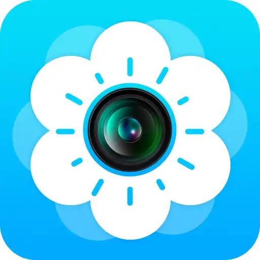 Play Gallery - Album, photo Gallery APK Play Gallery - Album, photo Gallery APK