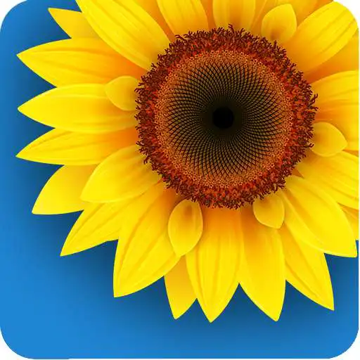 Play Gallery Download Pro APK Play Gallery Download Pro APK