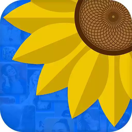 Play Gallery - Hide Photos Videos APK Play Gallery - Hide Photos Videos APK