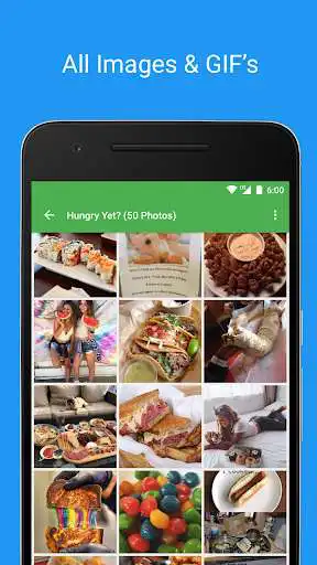 Play GalleryHub: Website Viewer as an online game GalleryHub: Website Viewer with UptoPlay