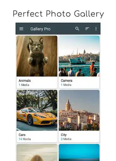 Play Gallery Pro: Photo Manager & Editor and enjoy Gallery Pro: Photo Manager & Editor with UptoPlay Play Gallery Pro: Photo Manager & Editor and enjoy Gallery Pro: Photo Manager & Editor with UptoPlay