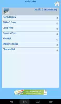 Play Gallipoli Cruise 2015