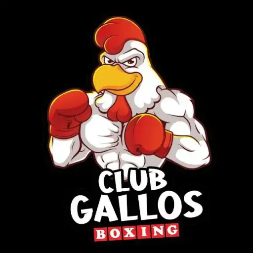 Play Gallos Boxing Timer APK