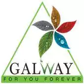 Free play online Galway APK Free play online Galway APK