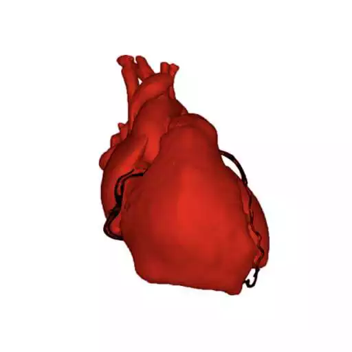 Play Gama Cardiac AR APK