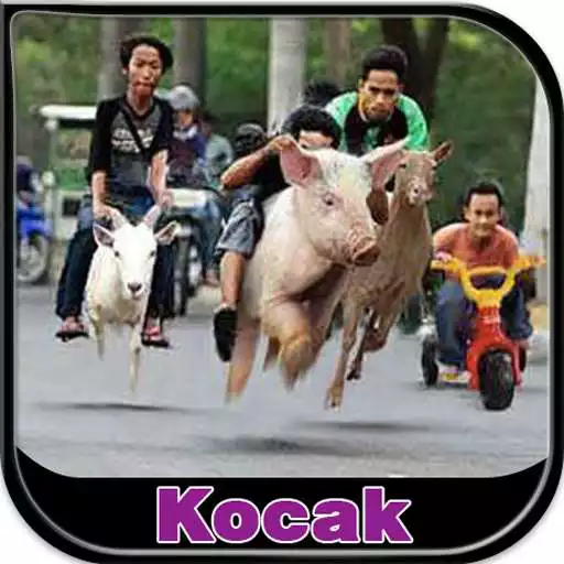 Free play online Gambar DP Kocak  APK